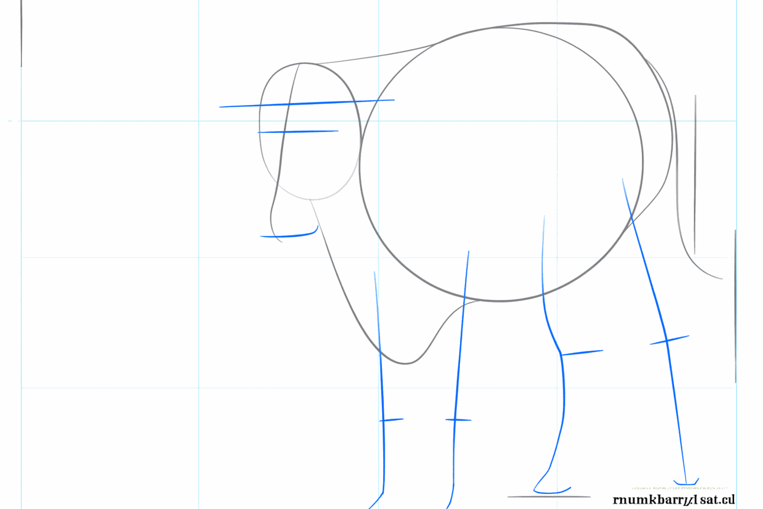 Guide lines for the four legs and the tail of the longhorn.