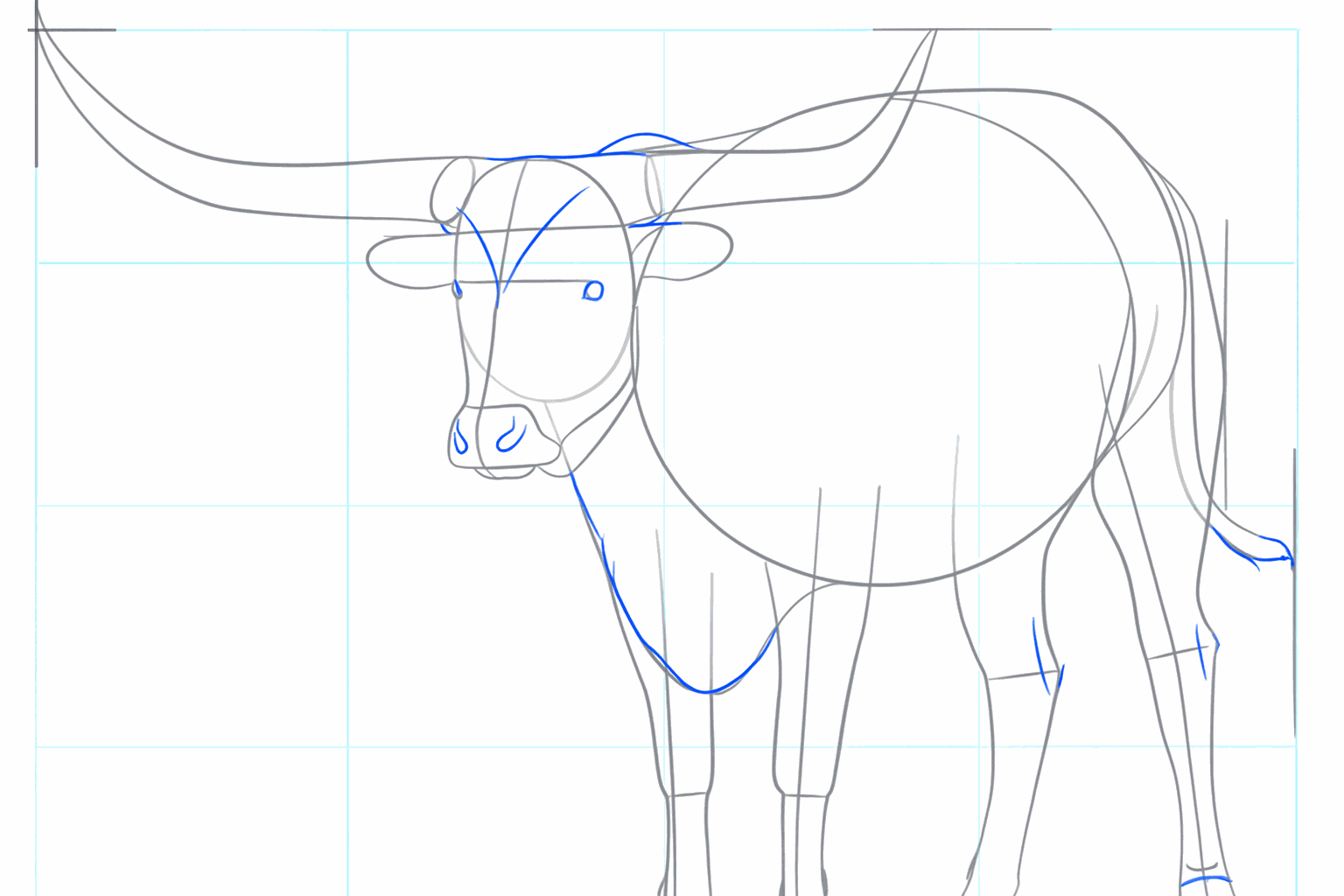 Long lines forming the base for the large horns.