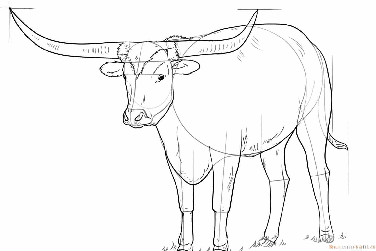 The horns are made thicker and the face gets details.