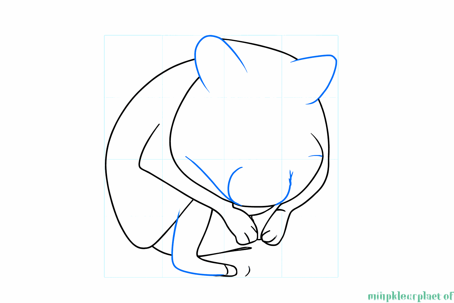 Croquis des petites oreilles rondes sur le dessus de la tête et d'un petit museau.