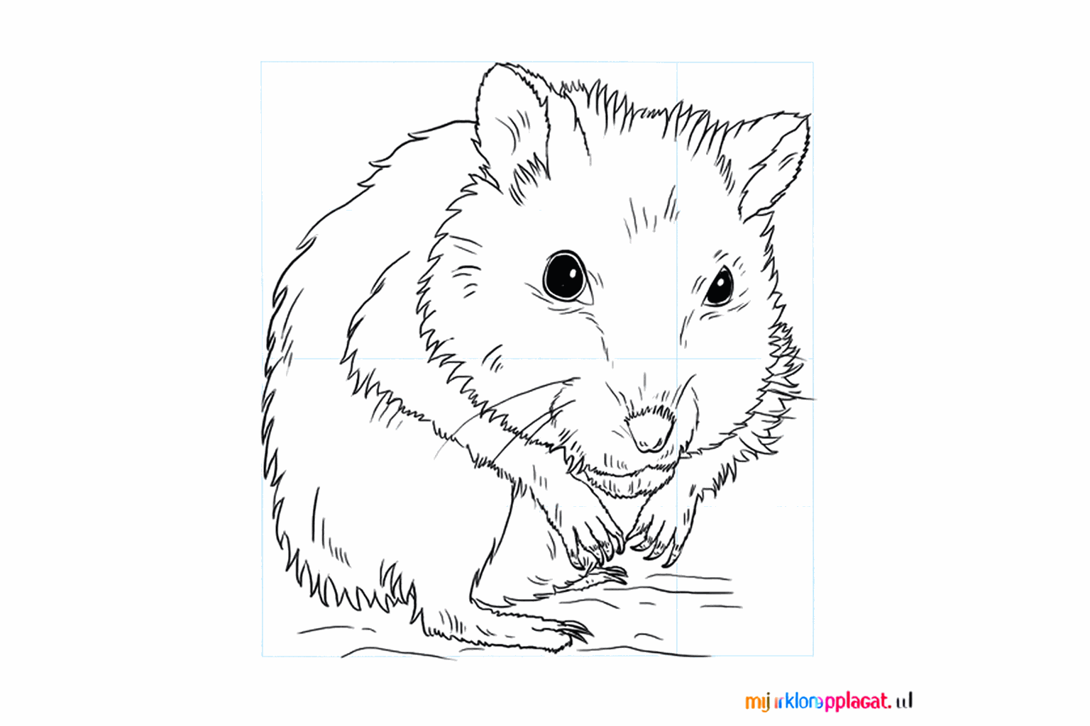 Drawing a cute hamster in 8 steps