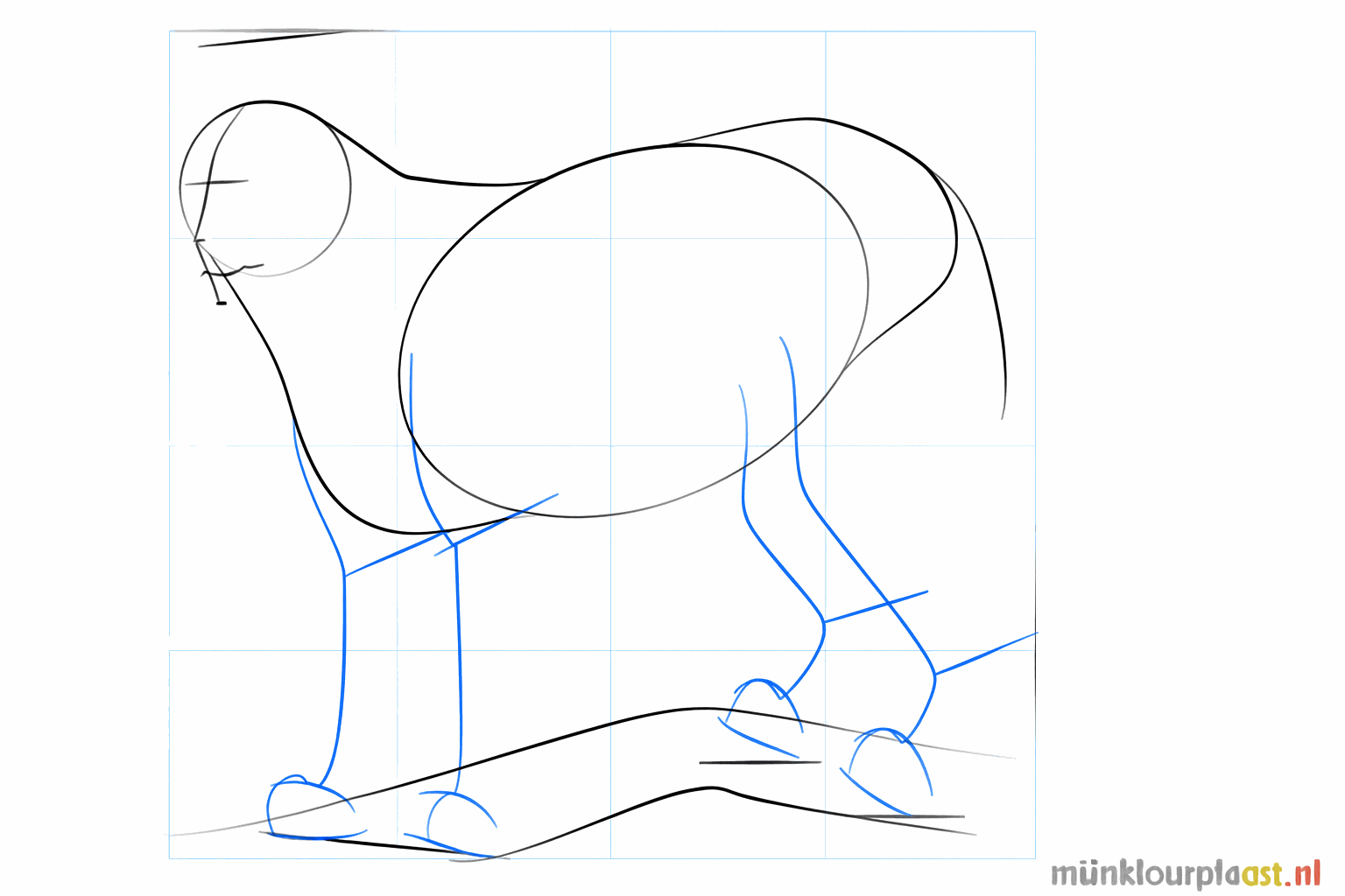 Lignes de repère pour le museau et les pattes du lynx.