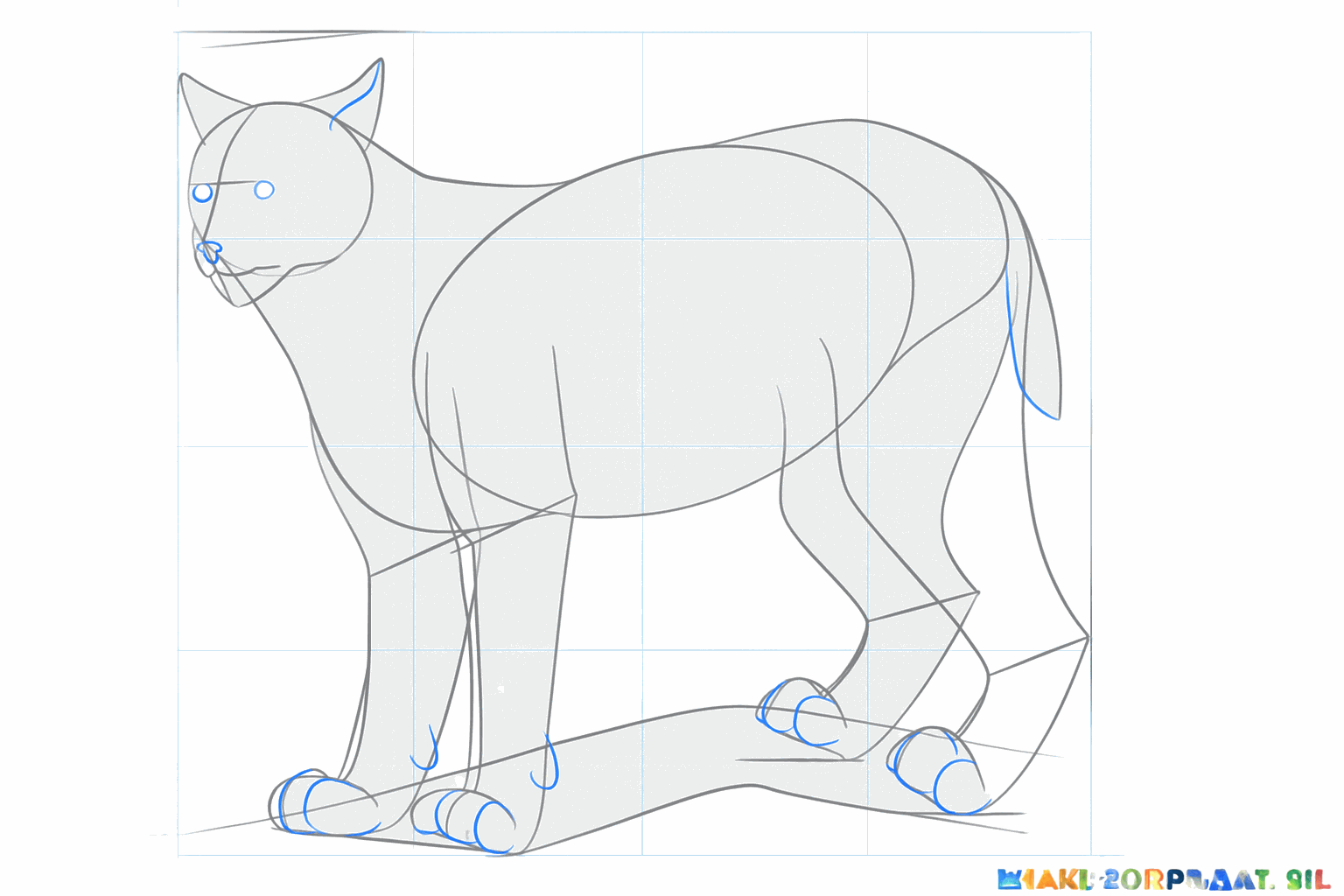 Détails du visage et des grosses pattes du lynx.