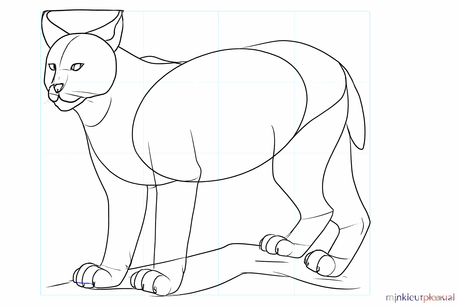 Dessin des griffes, de la queue courte et des détails sur le tronc d'arbre.