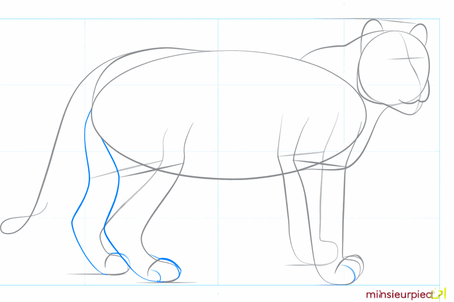 Drawing thicker legs and a snout on the snow leopard.