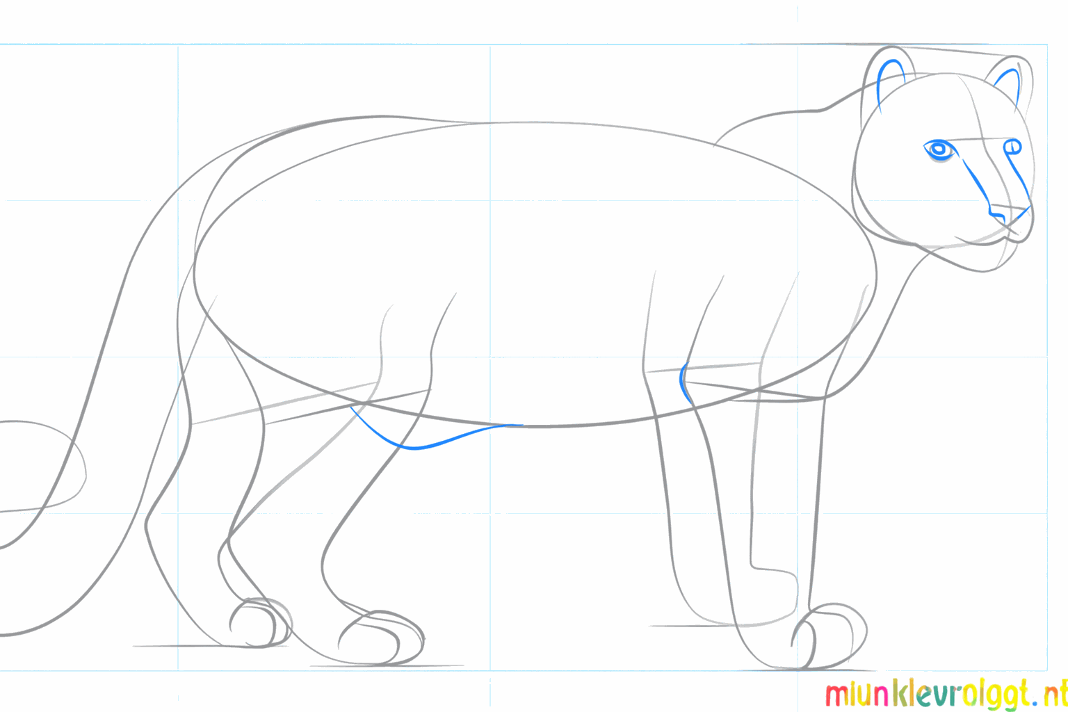 Filling in the face and making the tail thicker.