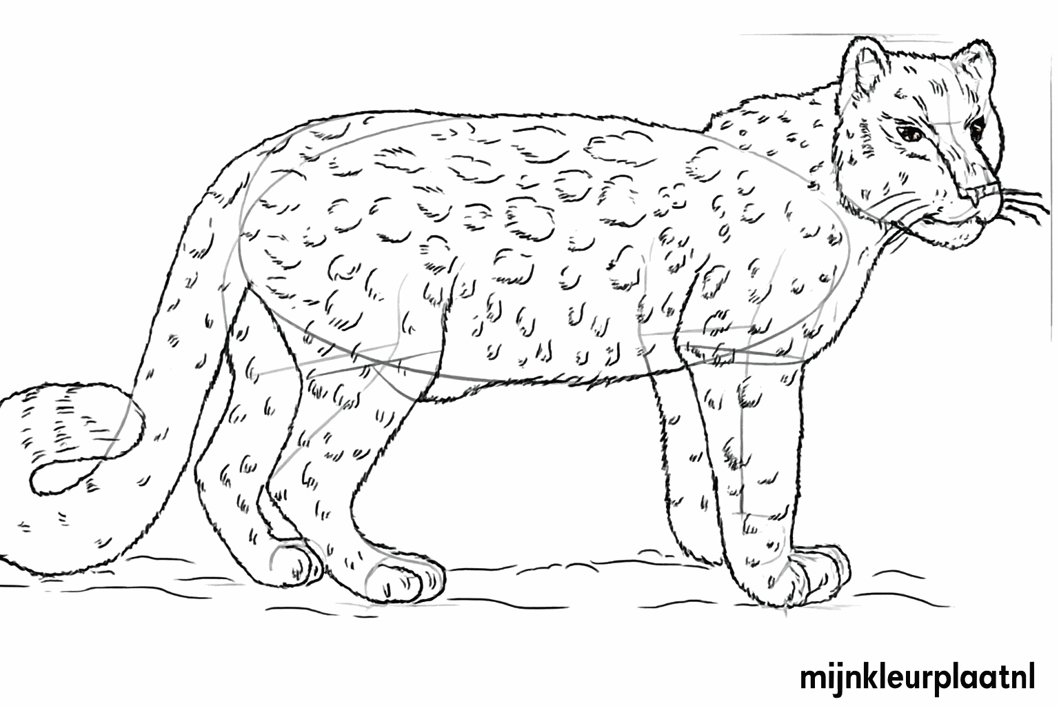 Adding spots and small details to the body.