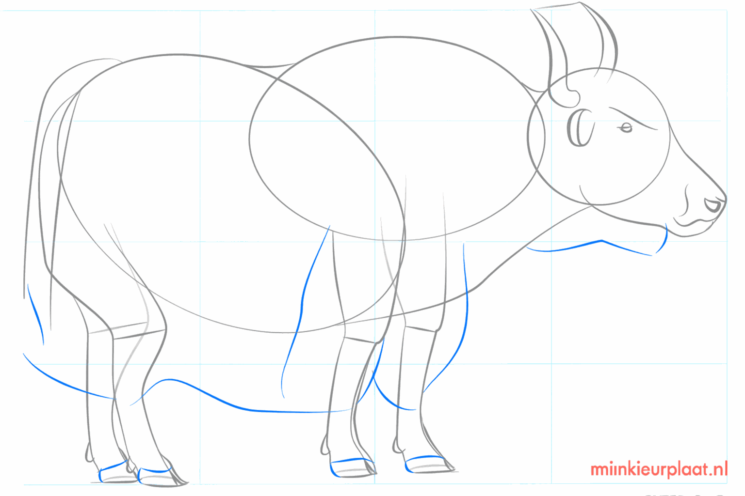 The face of the yak with eyes, a nose, and a full tail.