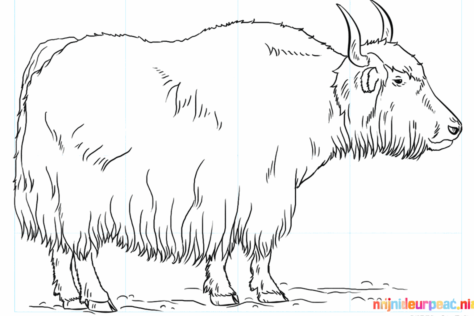 The finished drawing of a yak on a surface without guide lines.