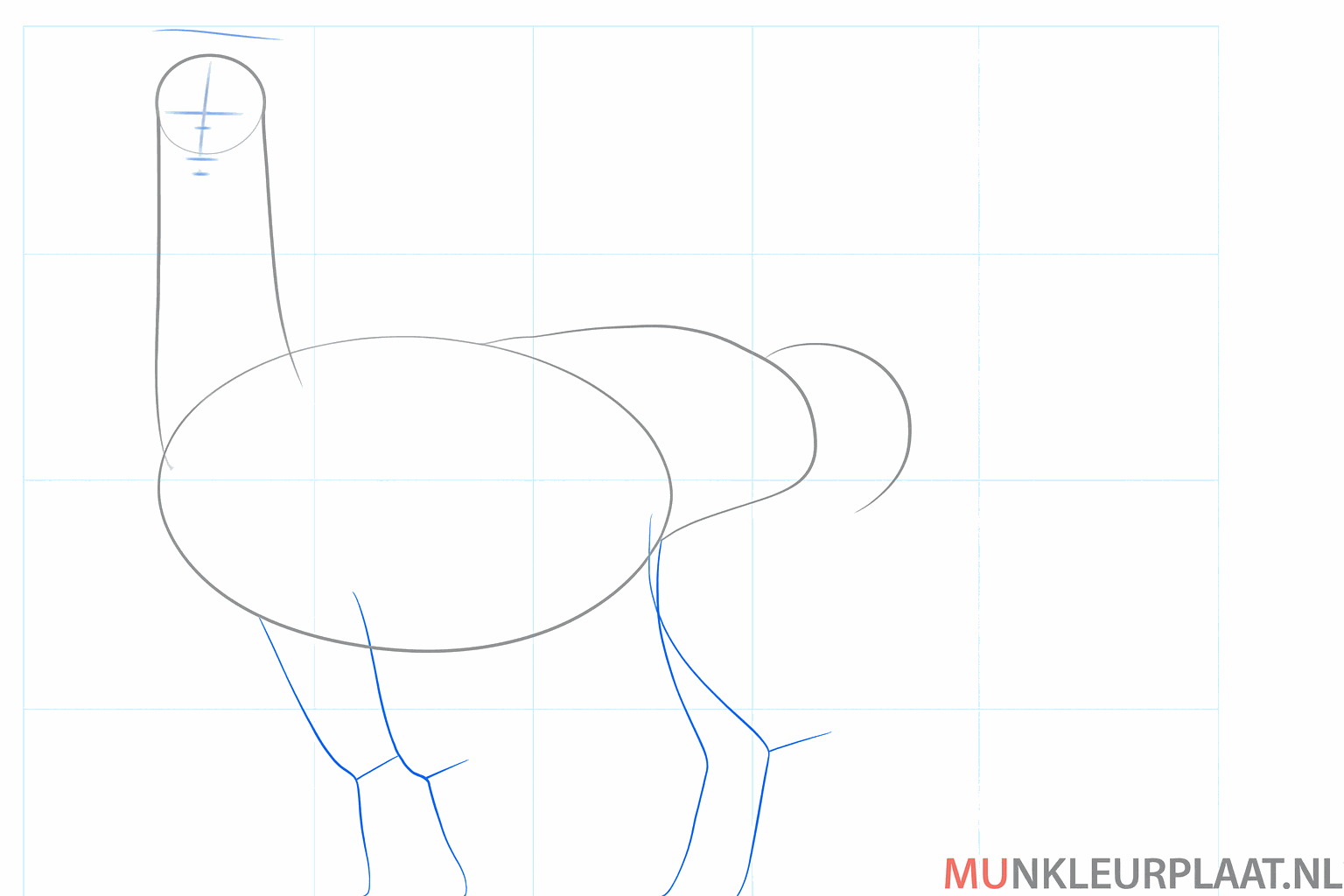 Cours de dessin alpaga étape 3 : Des lignes droites pour les pattes et une petite queue.