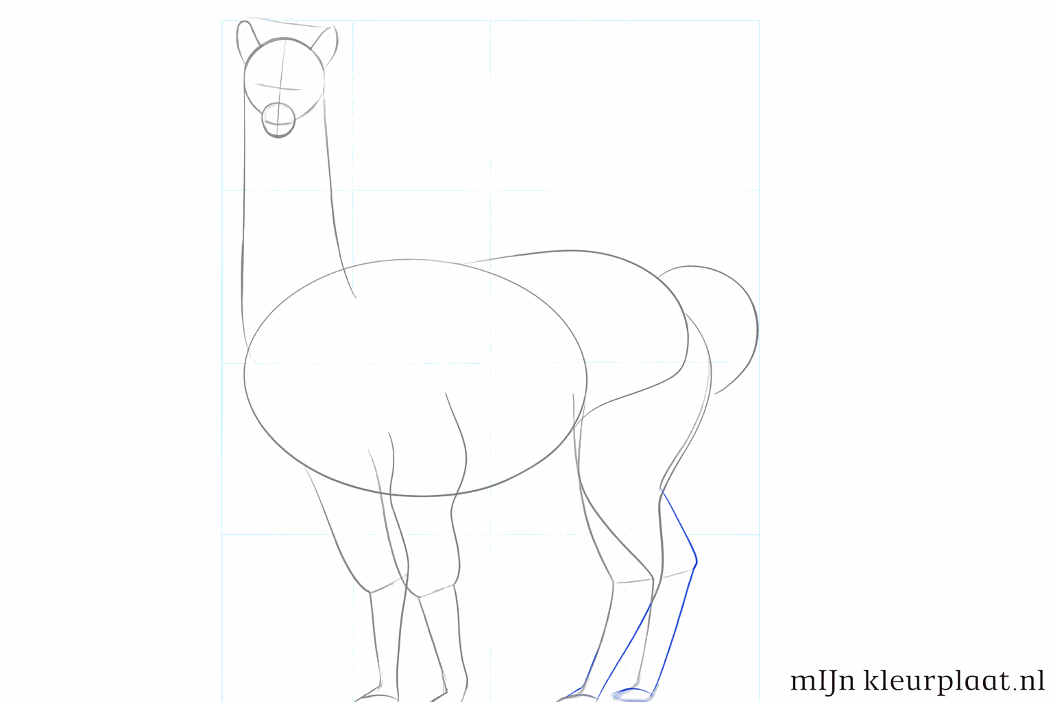 Cours de dessin alpaga étape 4 : Ajouter la forme du museau et les longues oreilles.