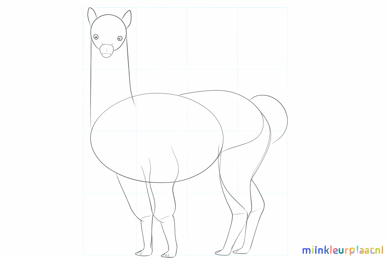 Cours de dessin alpaga étape 5 : Épaissir les pattes et dessiner les sabots.