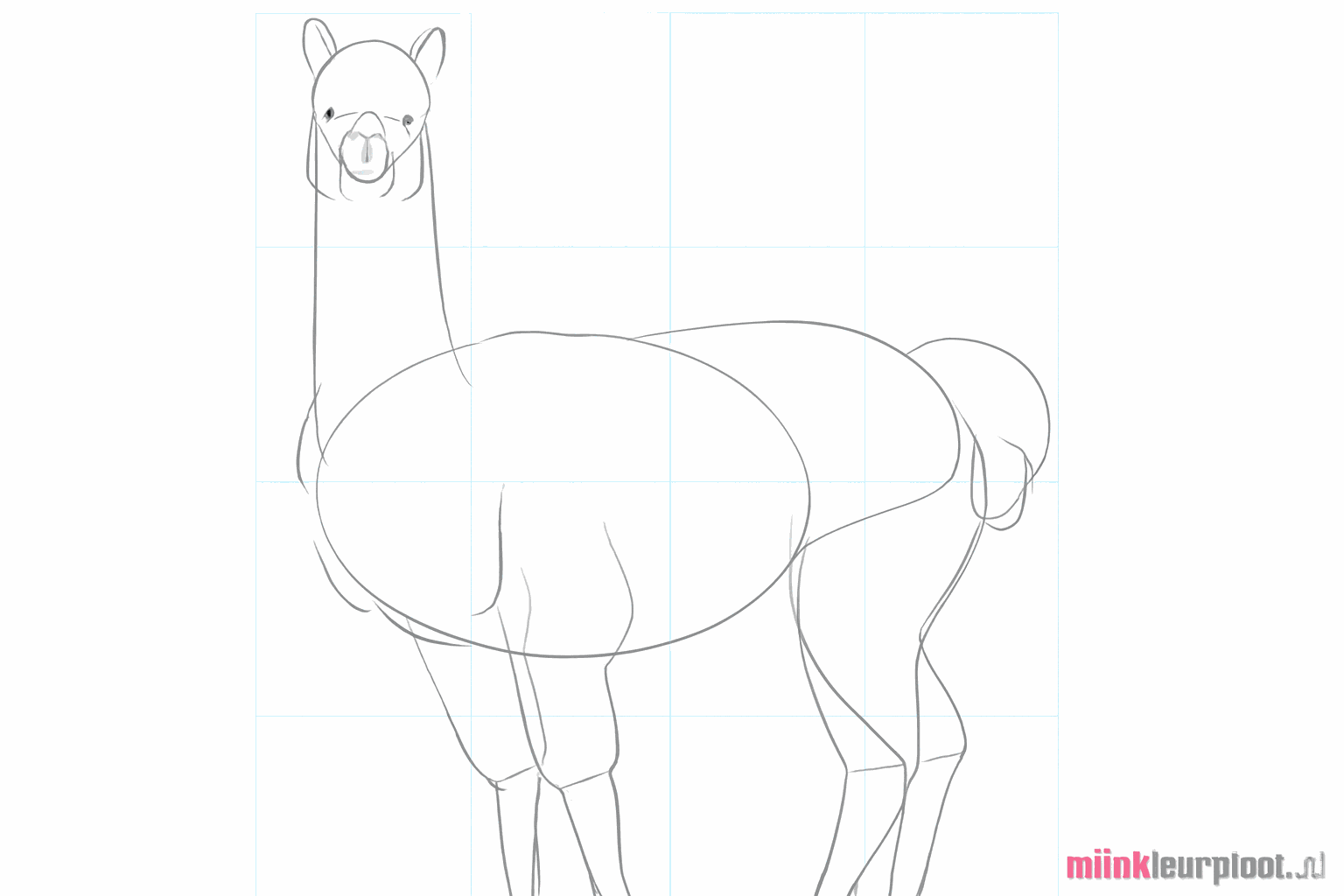 Cours de dessin alpaga étape 6 : Dessiner le visage avec les yeux et une bouche.