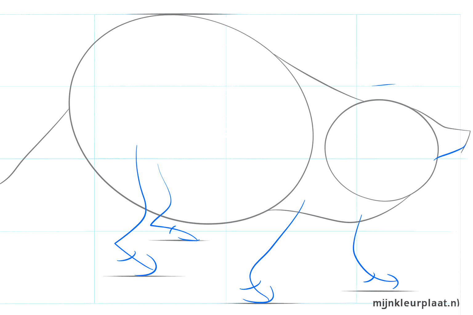 Dessin de raton laveur avec des oreilles triangulaires et des lignes de guidage sur le visage.