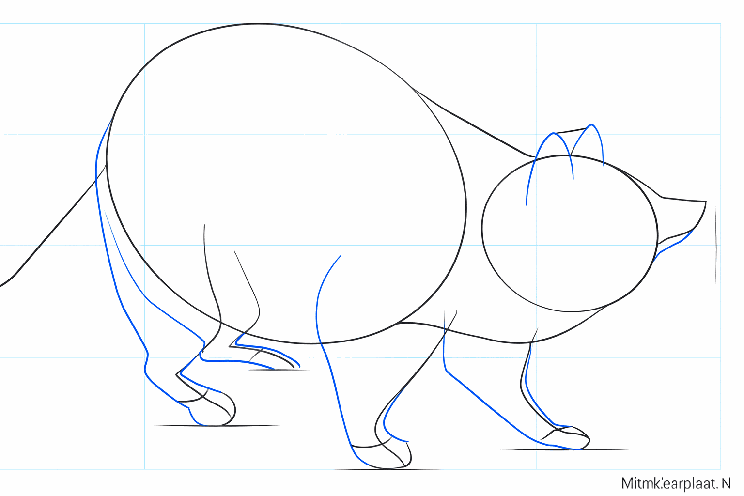 Esquisse des pattes et du museau d'un raton laveur.