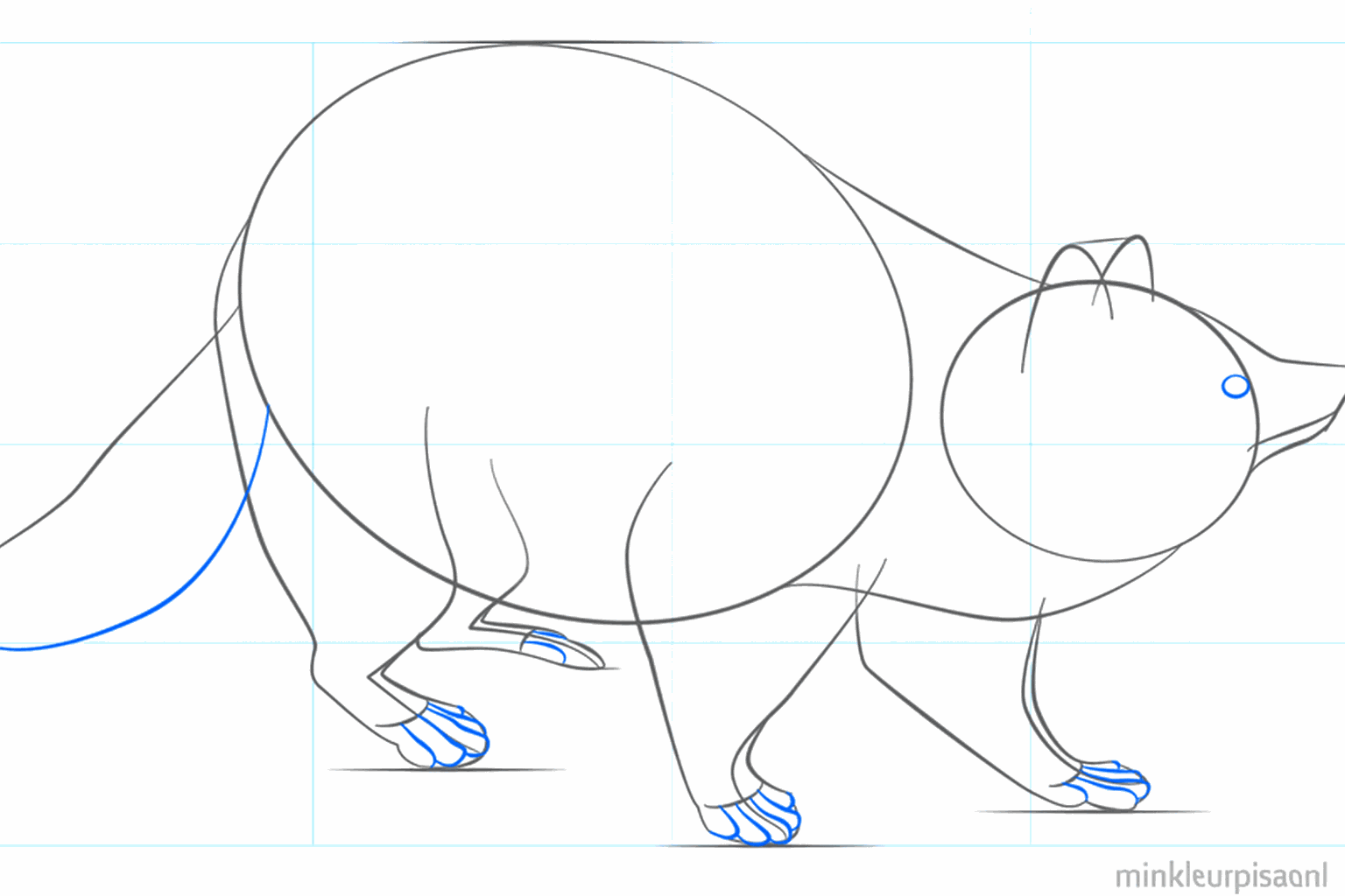 Raton laveur avec une queue épaisse, des yeux ronds et de petits pieds.