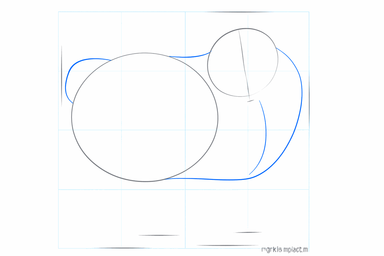 Lignes de construction pour le cou et une ligne courbe pour la queue du Loulou de Poméranie.