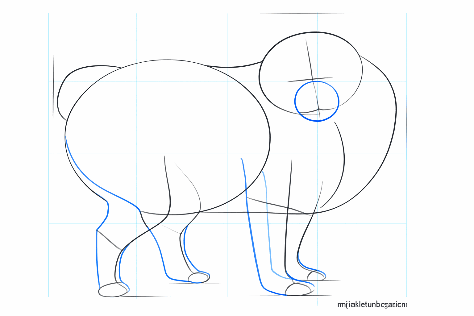 Cercle pour le museau et formes plus épaisses pour les pattes avant et arrière.