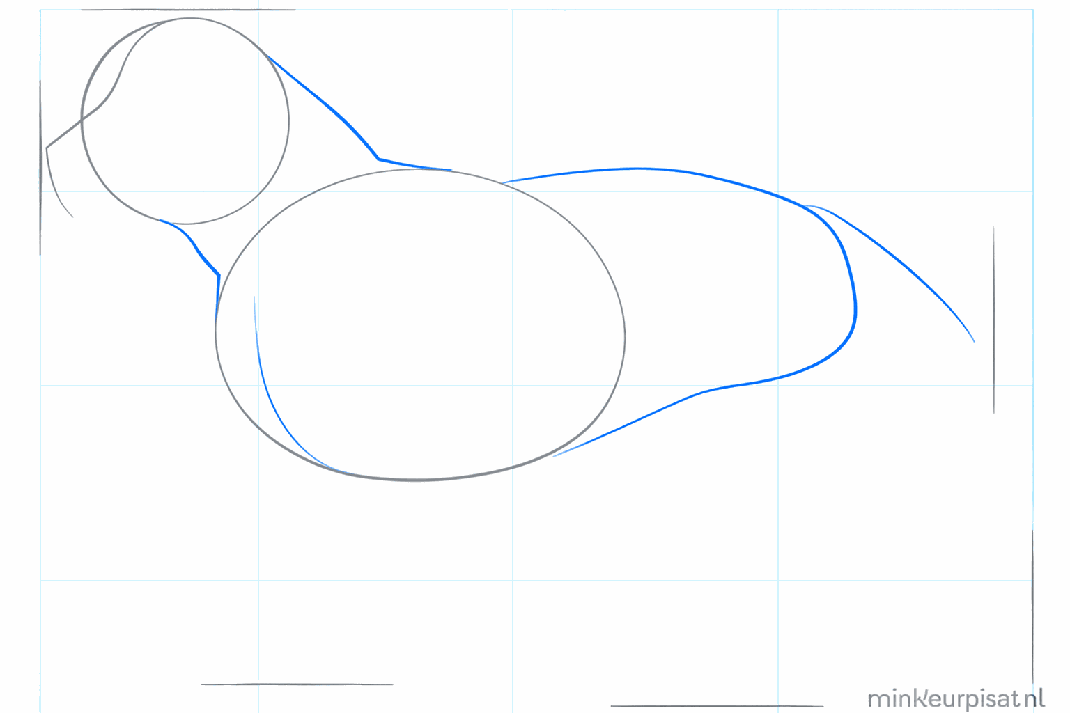 Lignes reliant la tête et le corps du chien.