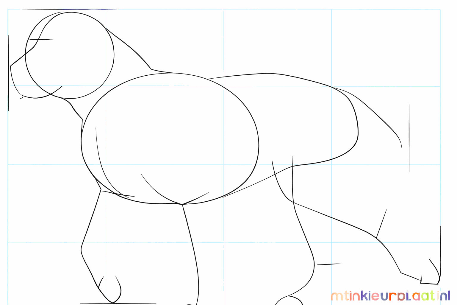 Lignes de construction pour les quatre pattes et la queue du pitbull.