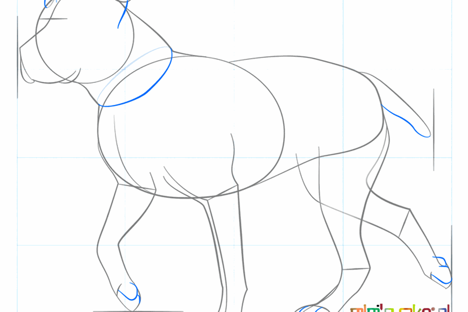 Pattes plus épaisses et museau bien défini pour le chien.