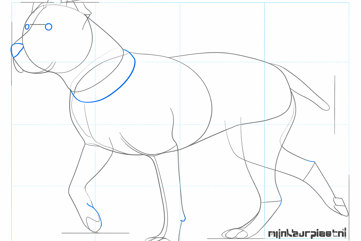 Détails des pattes du chien et une queue pleine.