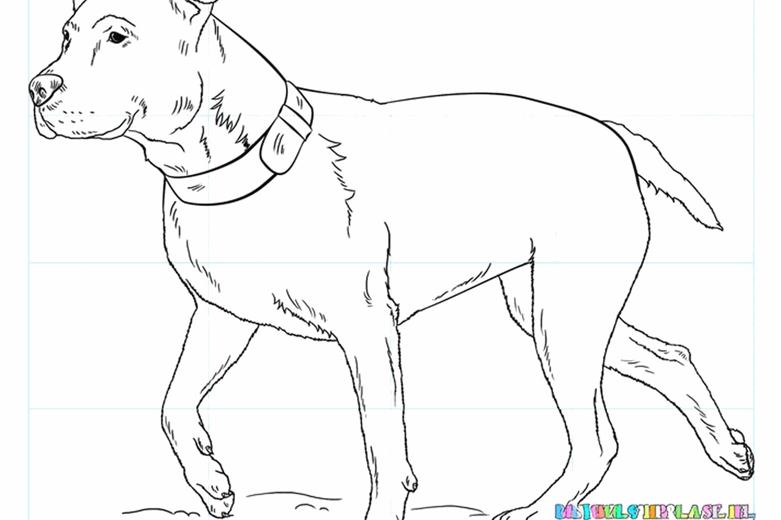 Drawing a Tough Pitbull