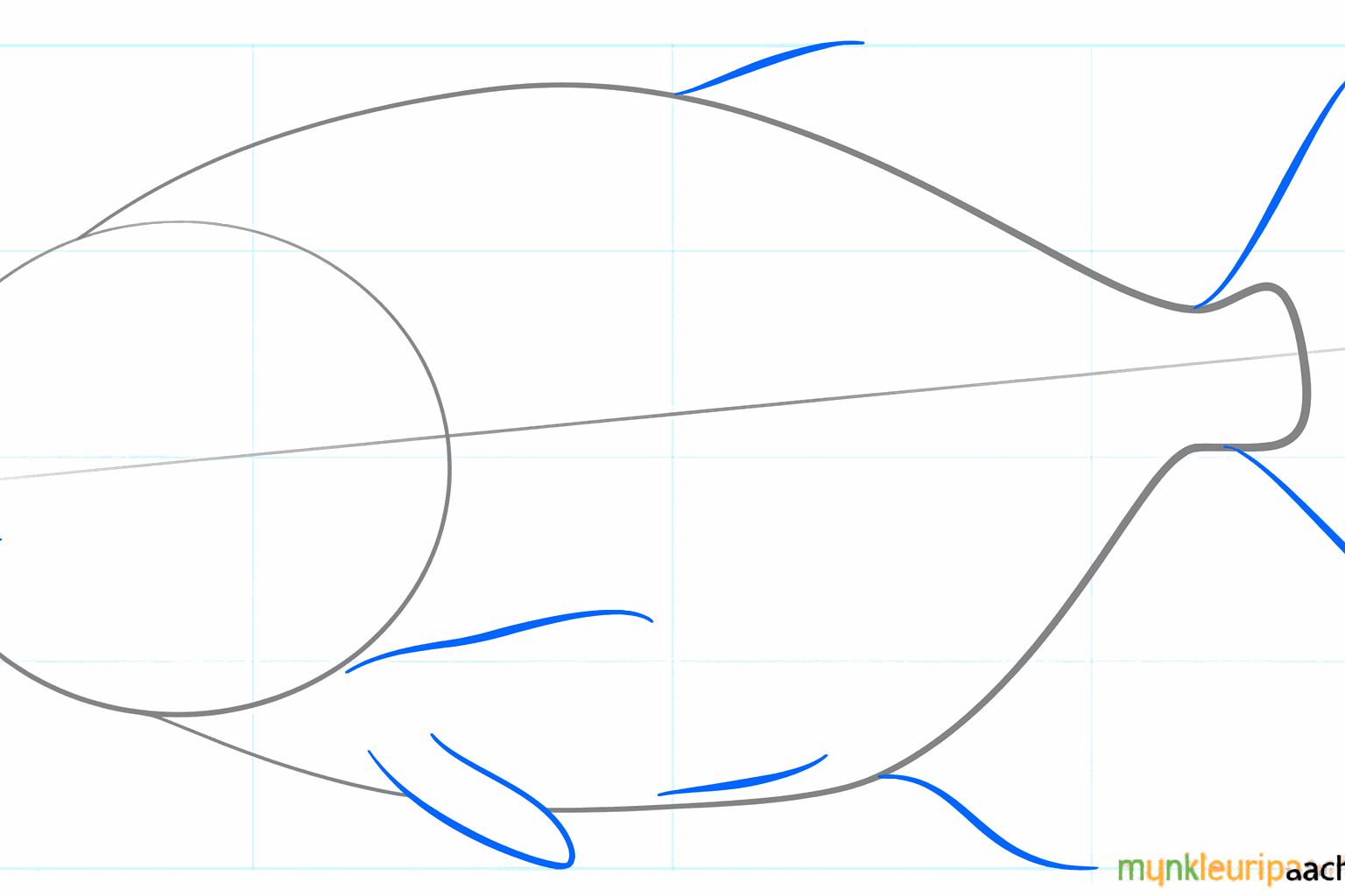 Lignes de construction pour les nageoires et la queue du poisson.