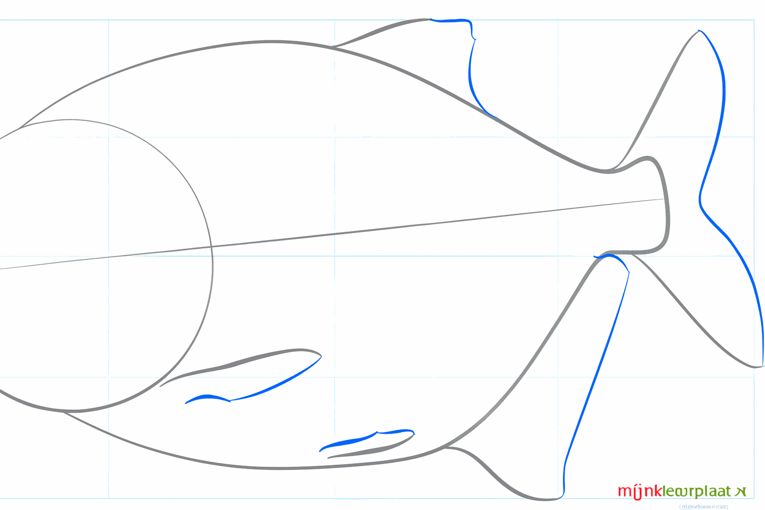 Formes de la nageoire dorsale, des nageoires ventrales et de la mâchoire inférieure robuste.