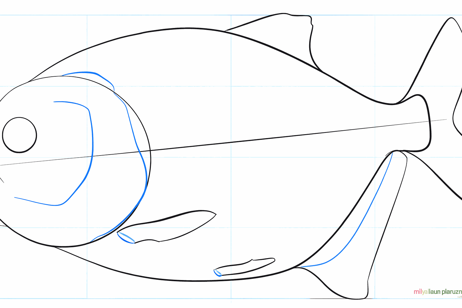 Détails des nageoires, un œil rond et l'ouverture de l'ouïe.