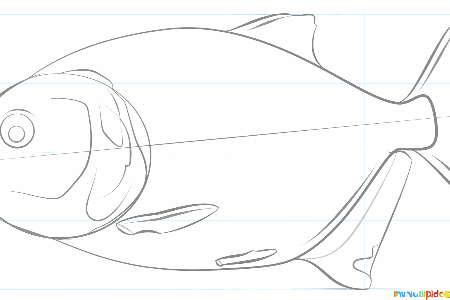 Texture sur les nageoires et forme de la bouche.