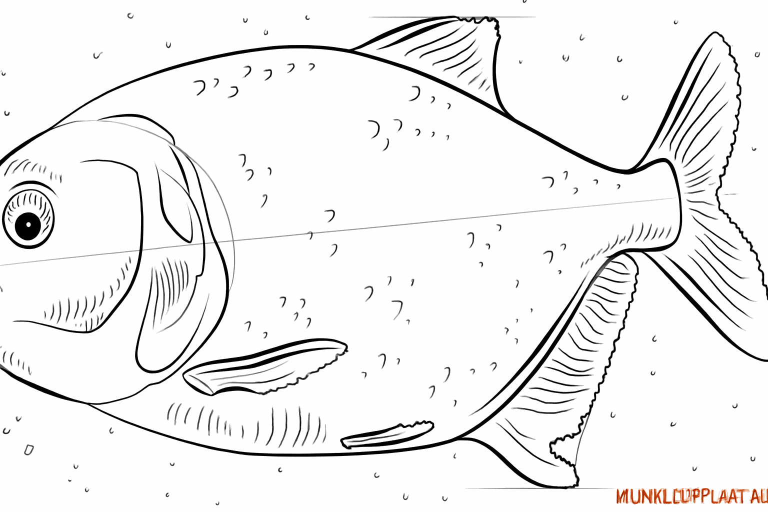 Dents pointues dans la bouche et petits détails sur la peau.