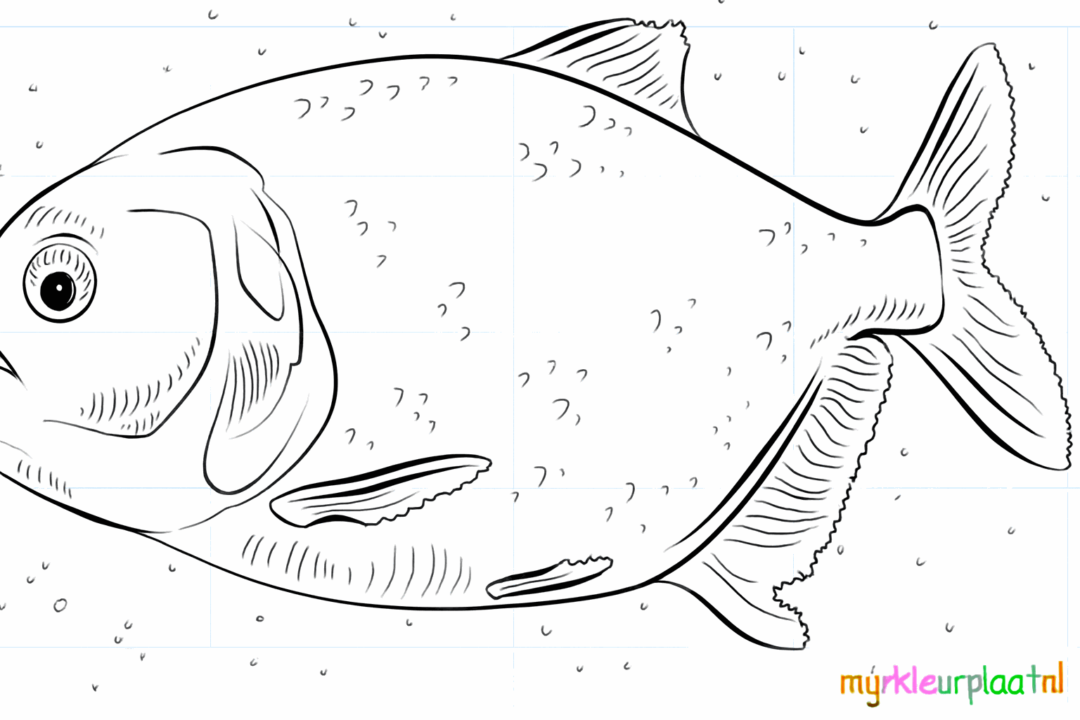 Drawing a cool piranha in 8 steps
