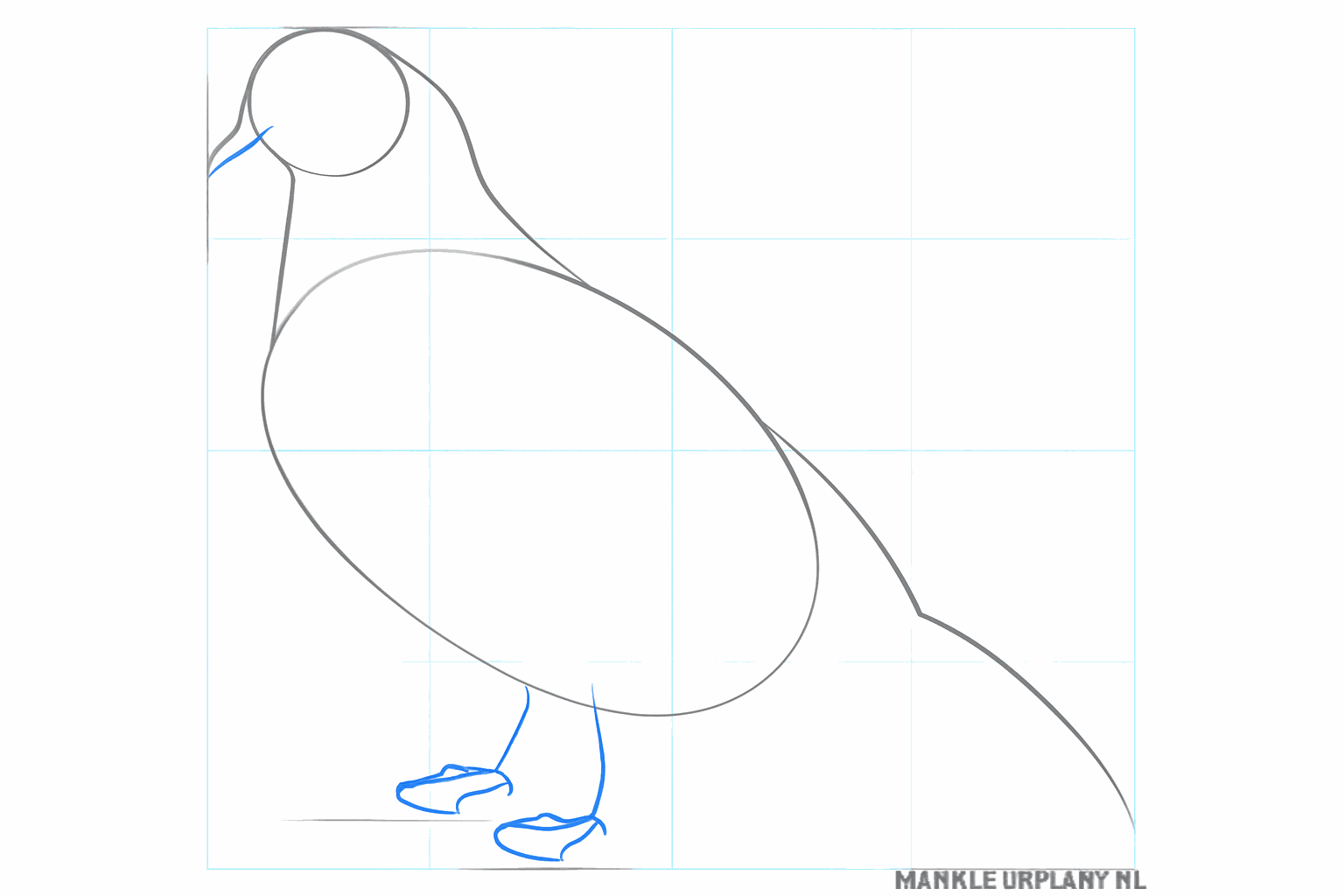 Guide lines for the beak and the legs of the bird.
