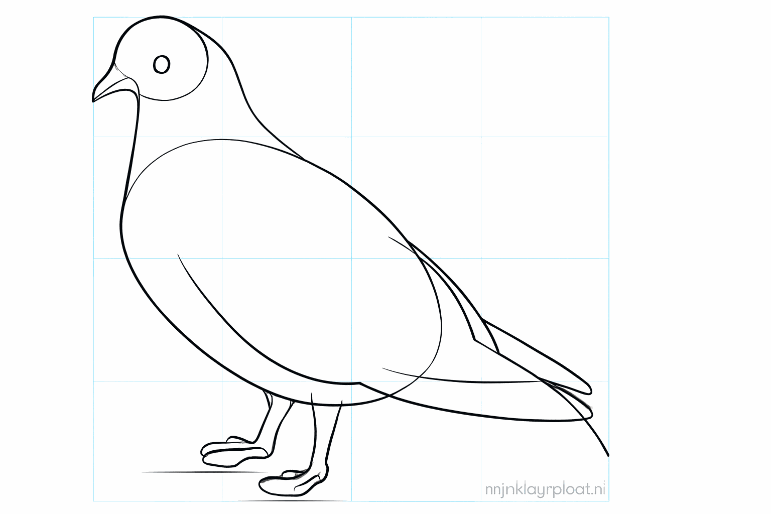 Sketching the wing and the beak of the pigeon.