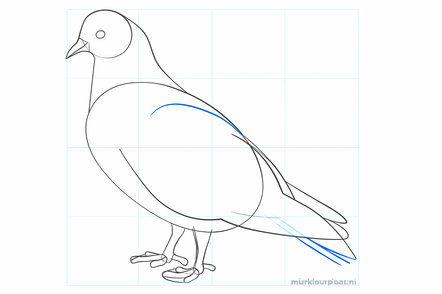 Shaping the legs and the tail of the pigeon.