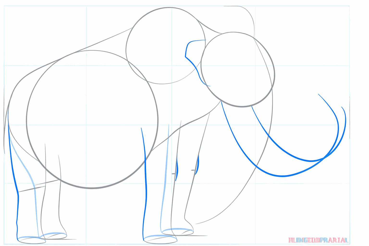 The shapes of the sturdy legs and a small ear on the side of the head.