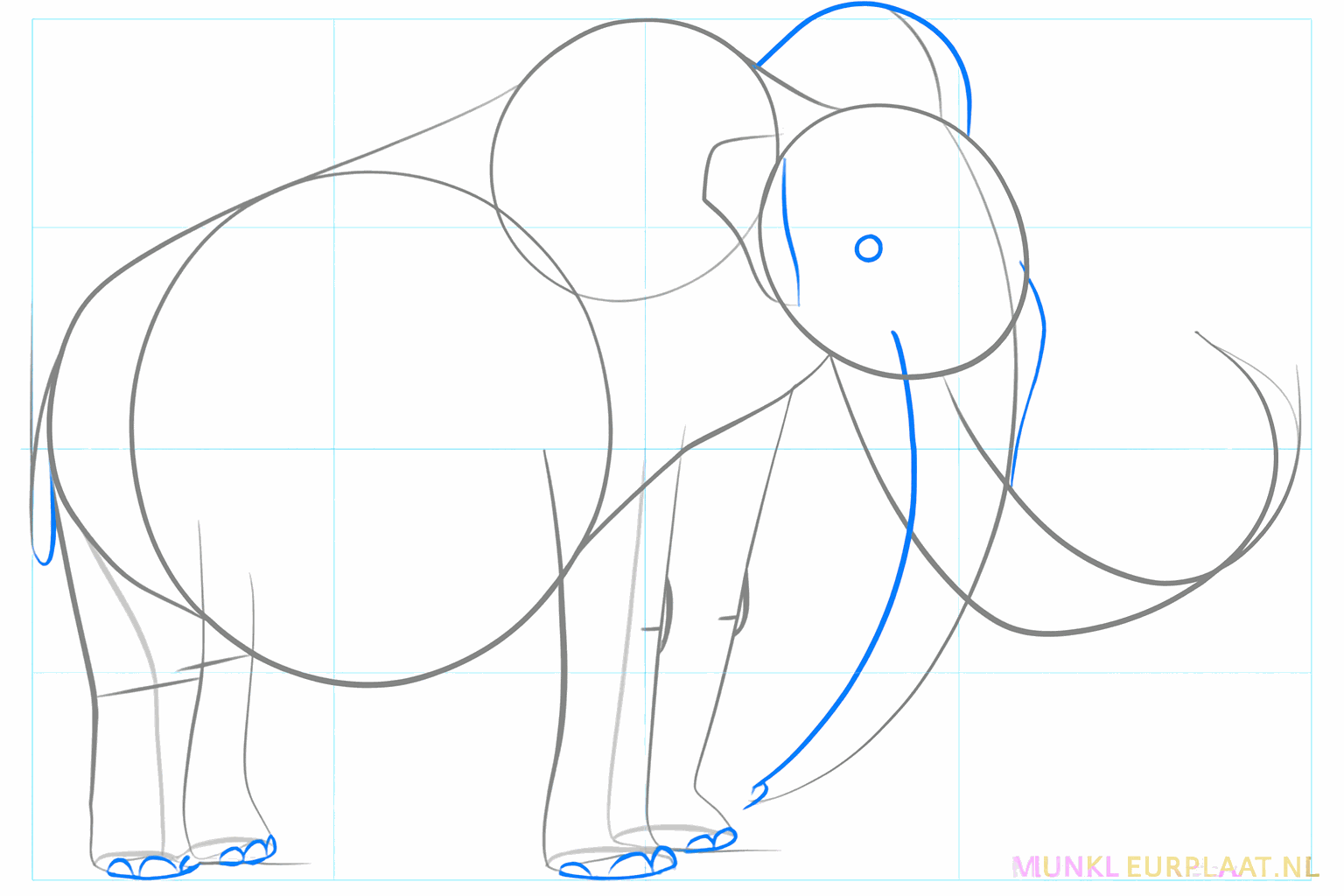 The trunk of the mammoth and a small eye in the middle of the head.
