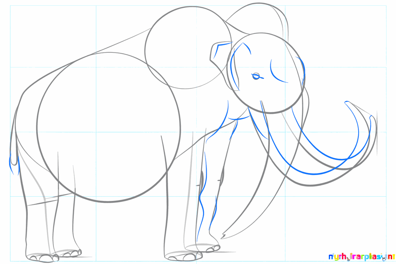 Thick tusks and details such as toenails and a fluffy tail.