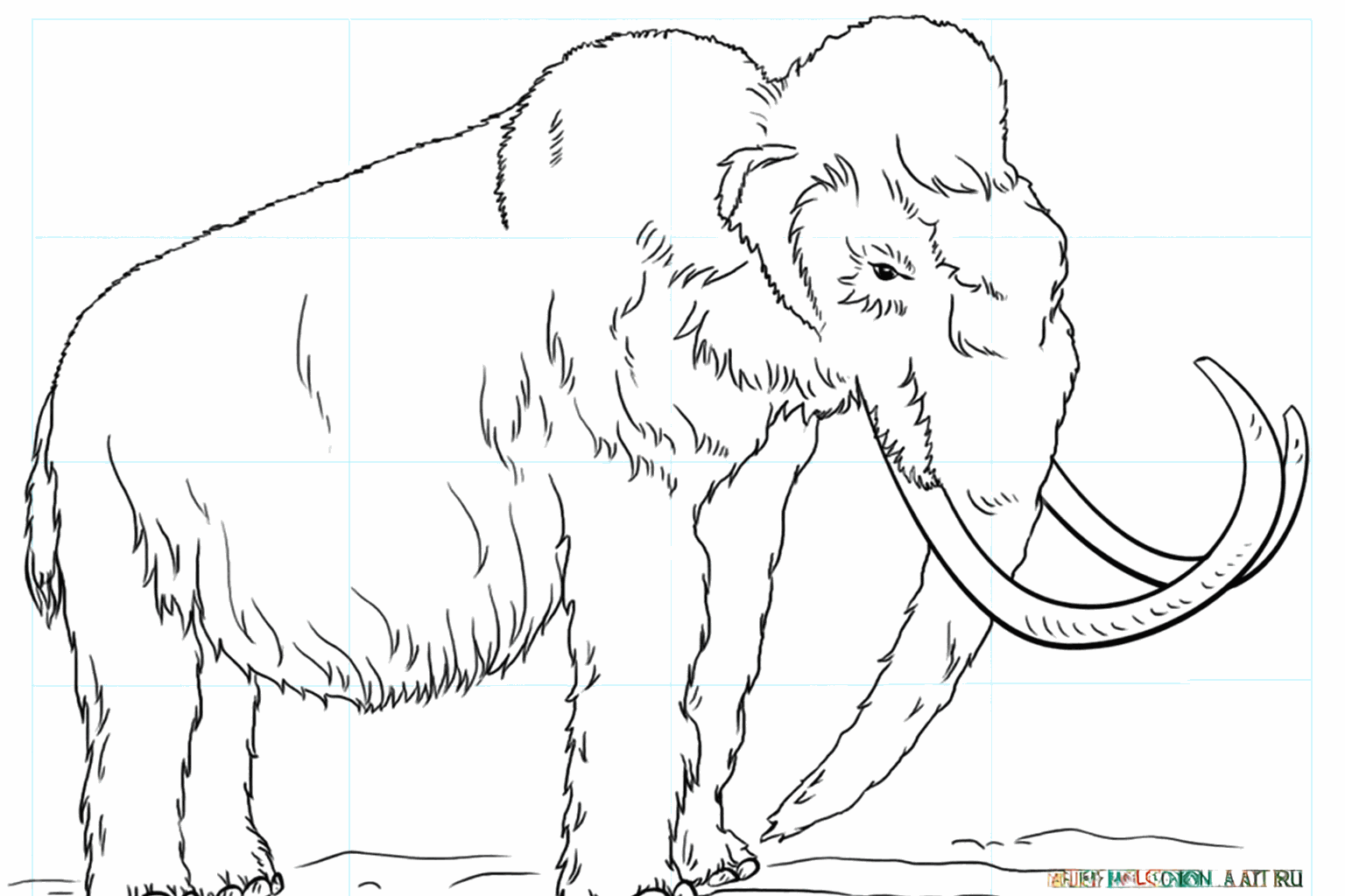 Drawing a Woolly Mammoth: Step-by-Step Drawing Lesson