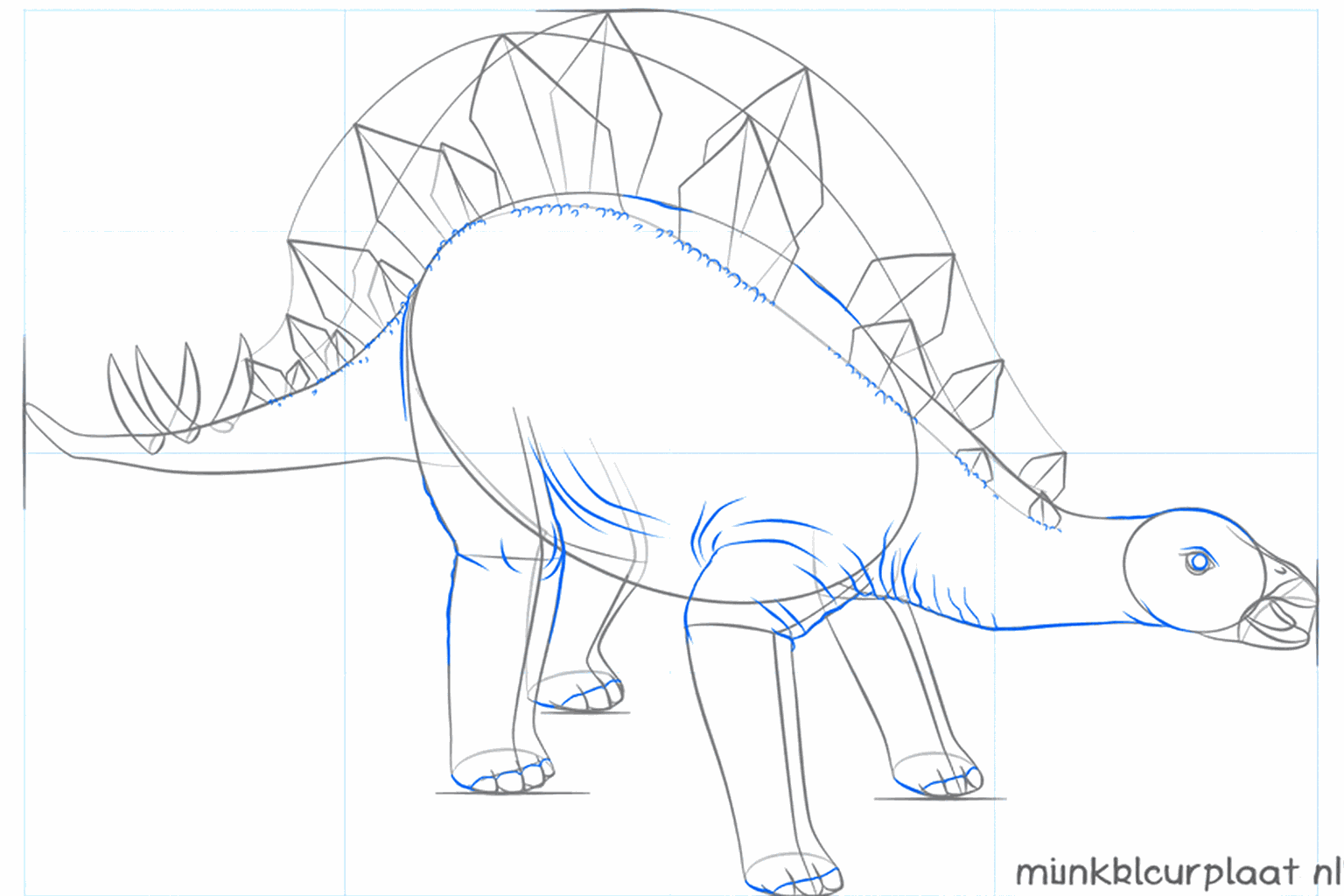 Deux rangées de grandes plaques en forme de losange sur le dos du dinosaure.