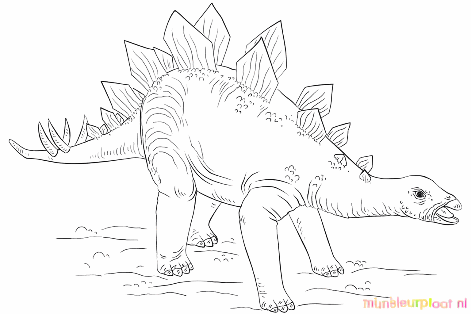 Drawing a cool Stegosaurus in 9 steps