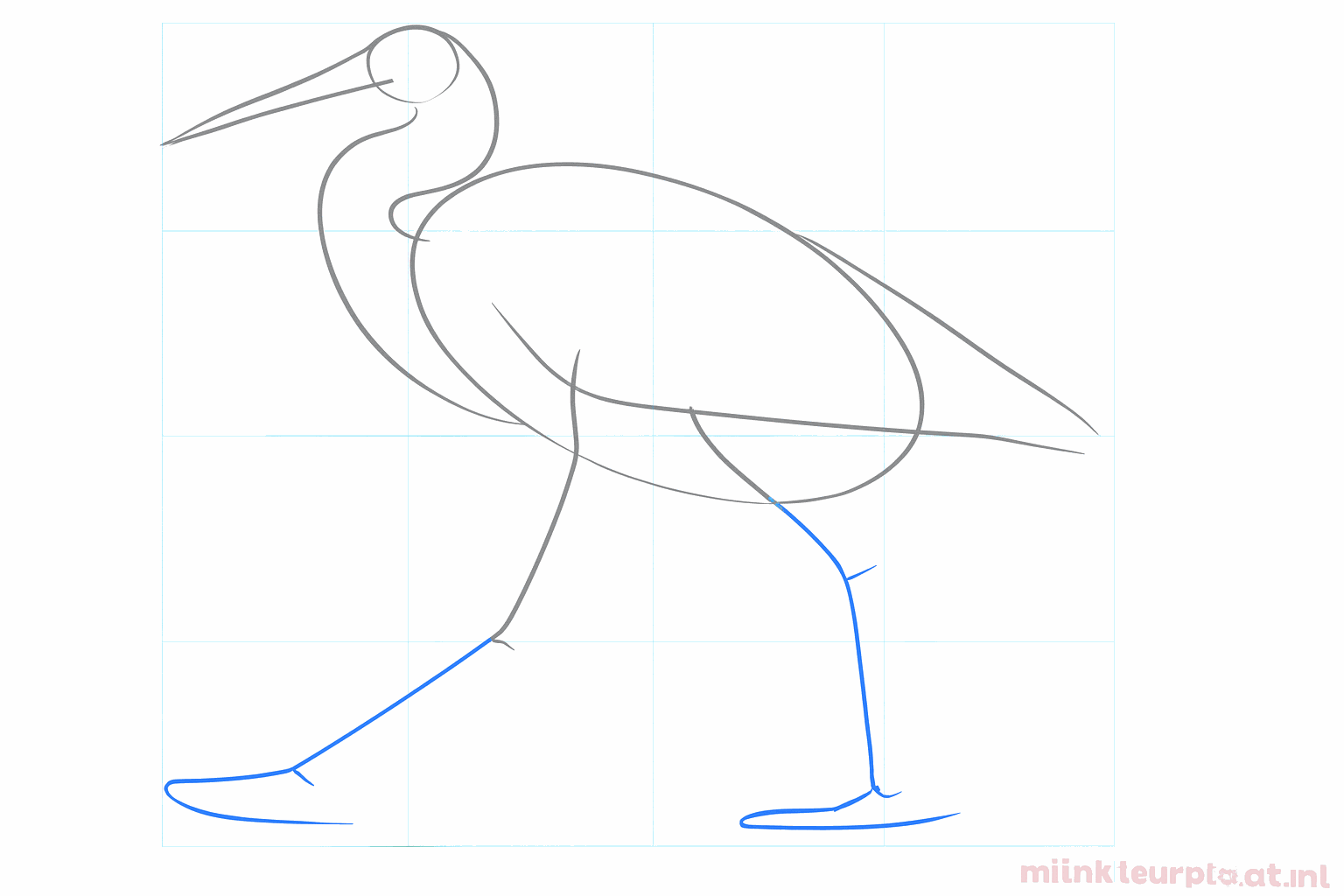 Guide lines for the long legs and the position of the wing.