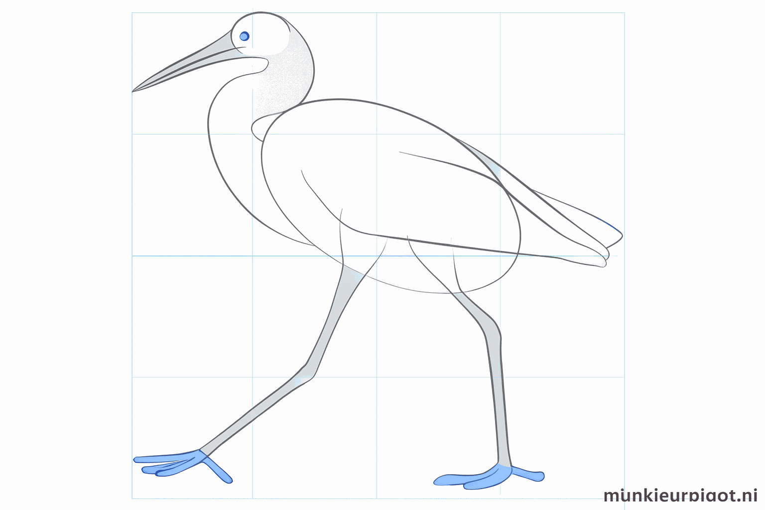 Details of the eye and the long toes of the egret.