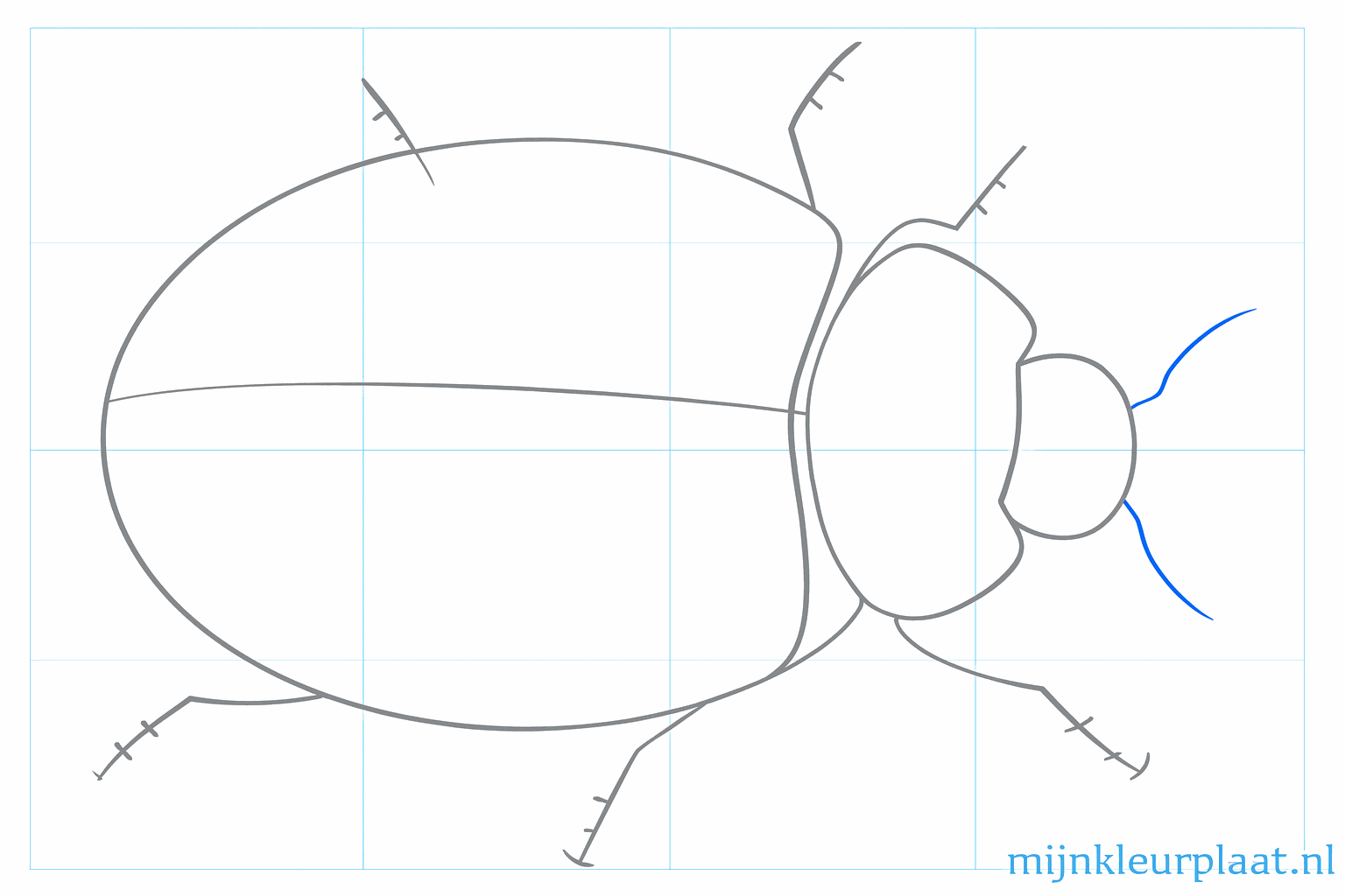 Croquis de coccinelle où la transition entre la tête et le corps est rendue plus claire.