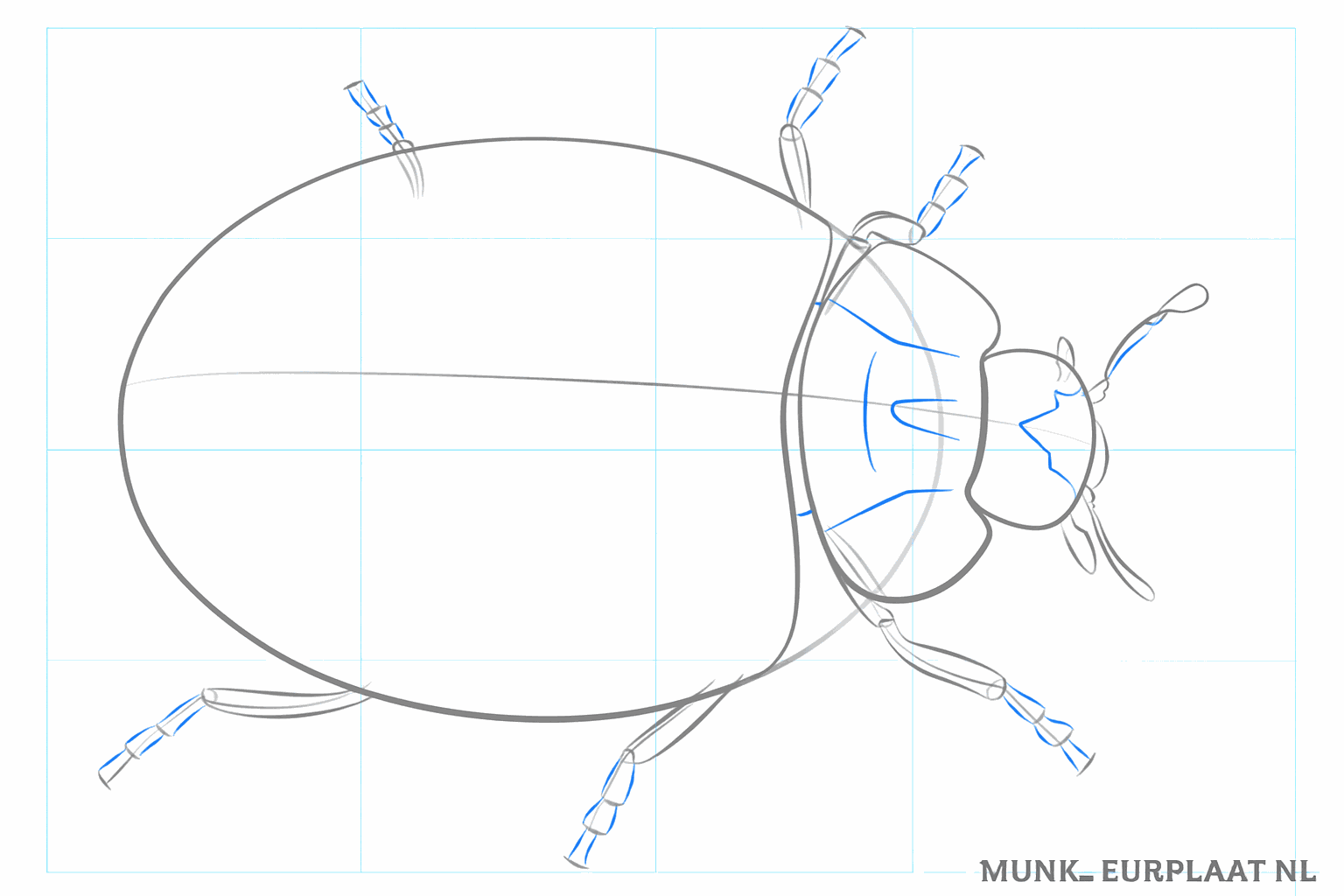 Les fines lignes des pattes et des antennes sont maintenant dessinées plus épaisses avec de petits segments.