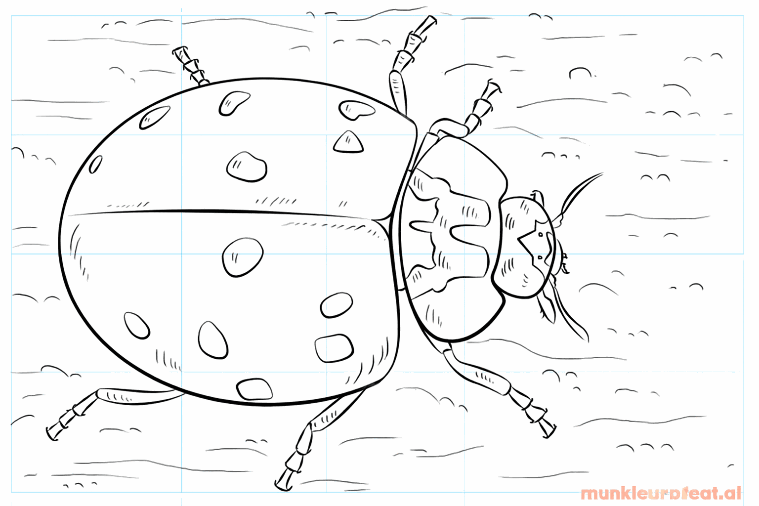 Drawing a cheerful ladybug