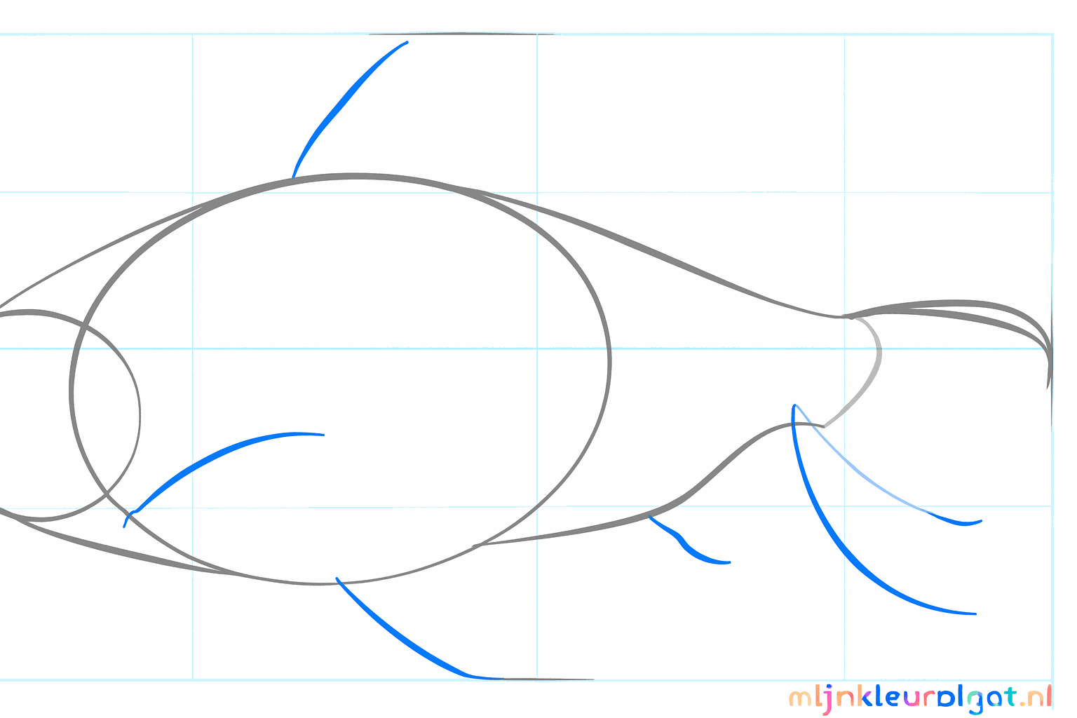 Forme de base de la queue et des nageoires ajoutée au corps.