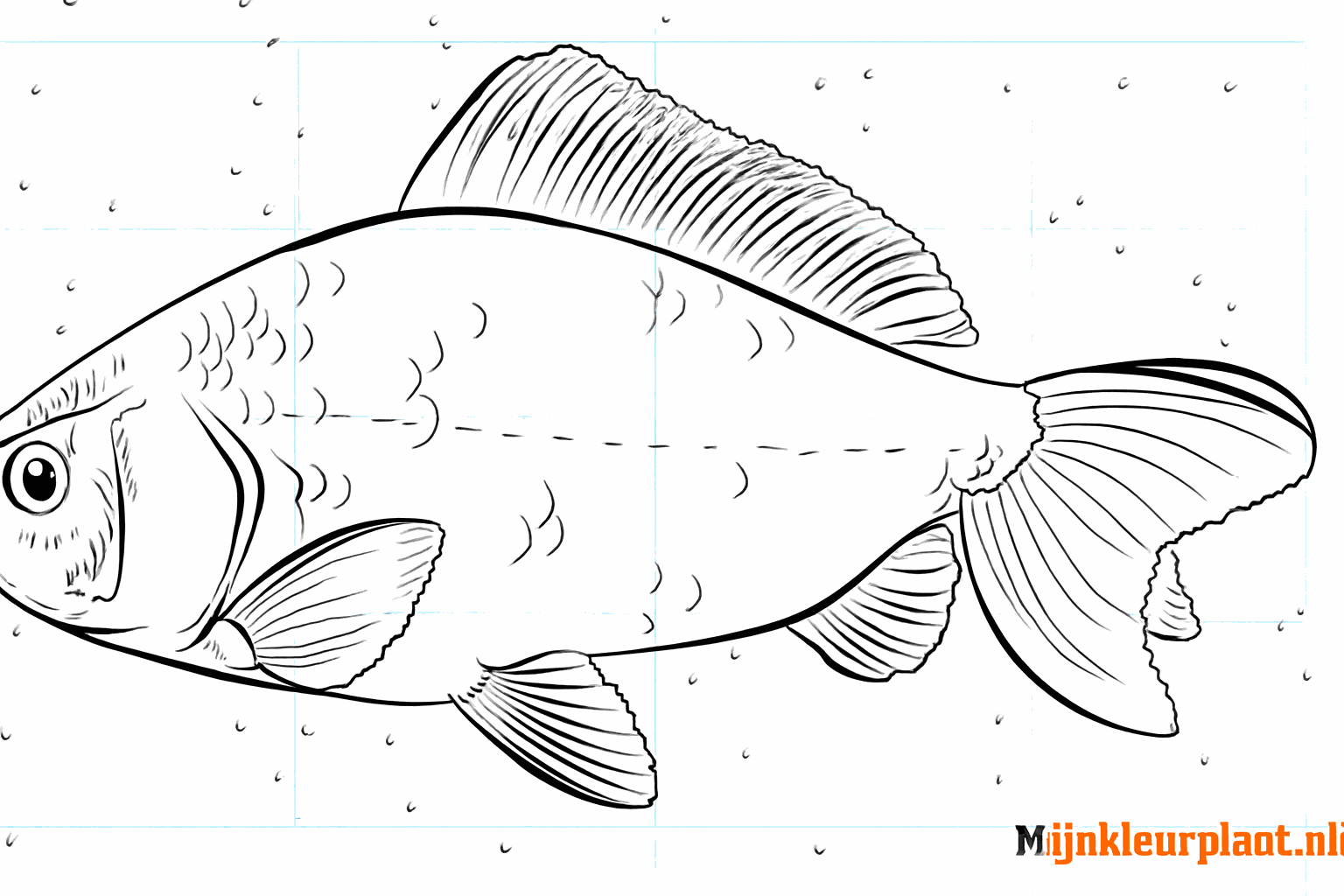 Drawing a cheerful carp in 8 steps