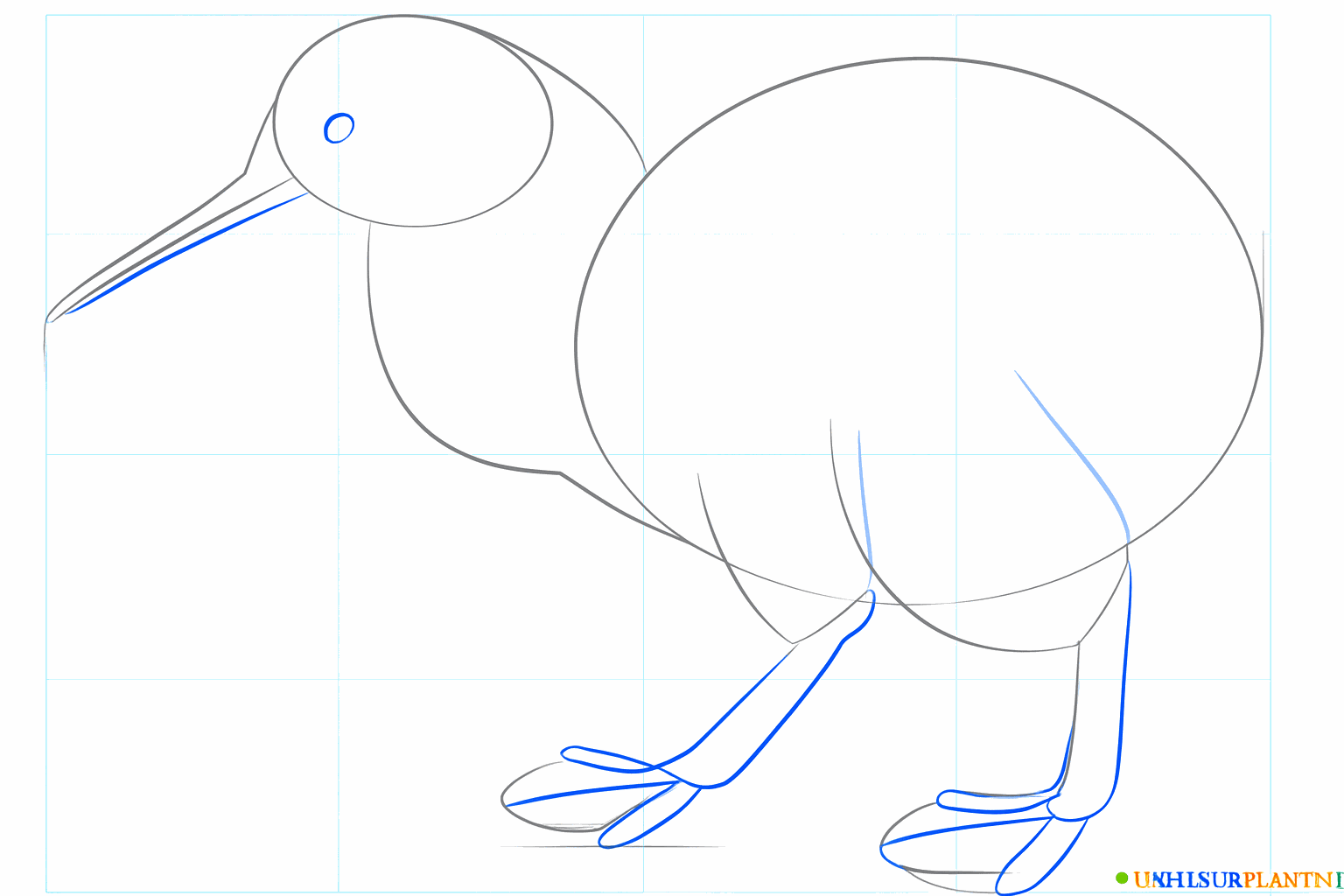 Kiwi bird drawing lesson step 4: Drawing construction lines for the bird's legs.